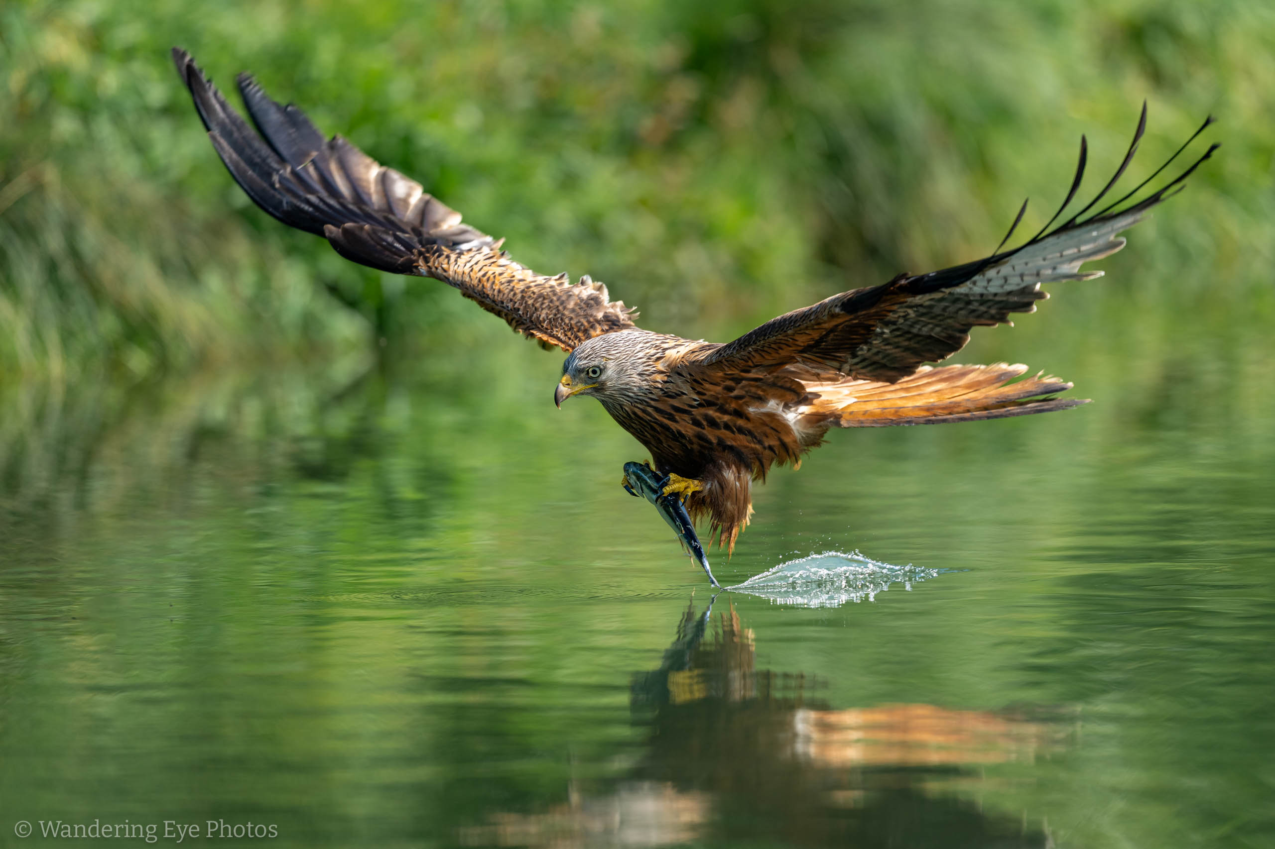 05.16 16.35.59 DSC00365